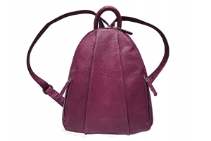 Teardrop Mult Zip Backpack